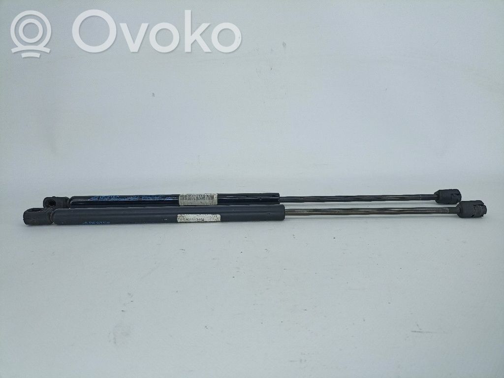 Tailgate/trunk strut/damper   NV