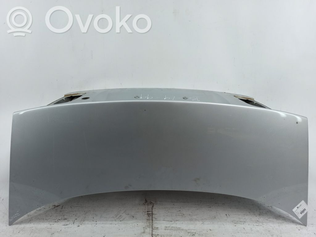 Tailgate/trunk/boot lid