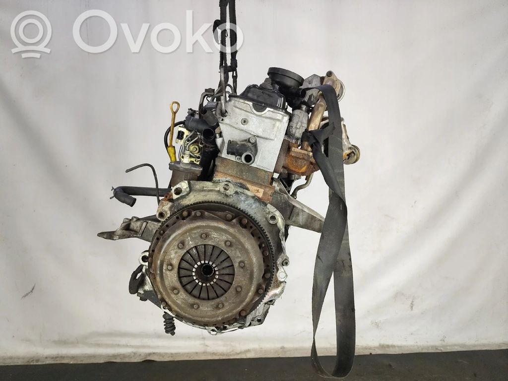 Motor