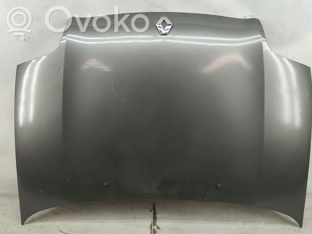 Dzinēja pārsegs (vāks)   NV,DANONATINTA