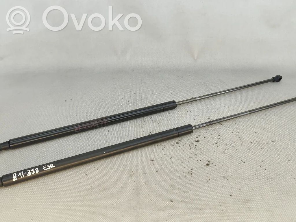 Nissan Juke I F15 Ammortizzatore portellone posteriore/bagagliaio 