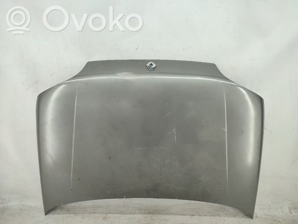 Engine bonnet/hood   FASE