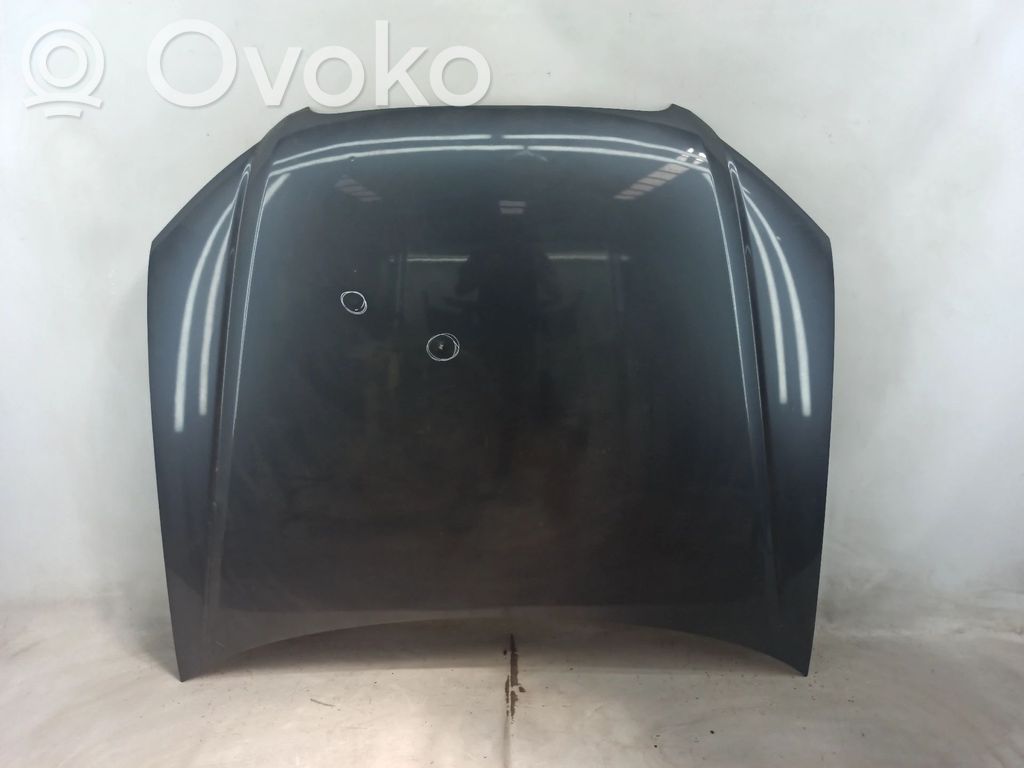 Capó/tapa del motor   NV,PICADO