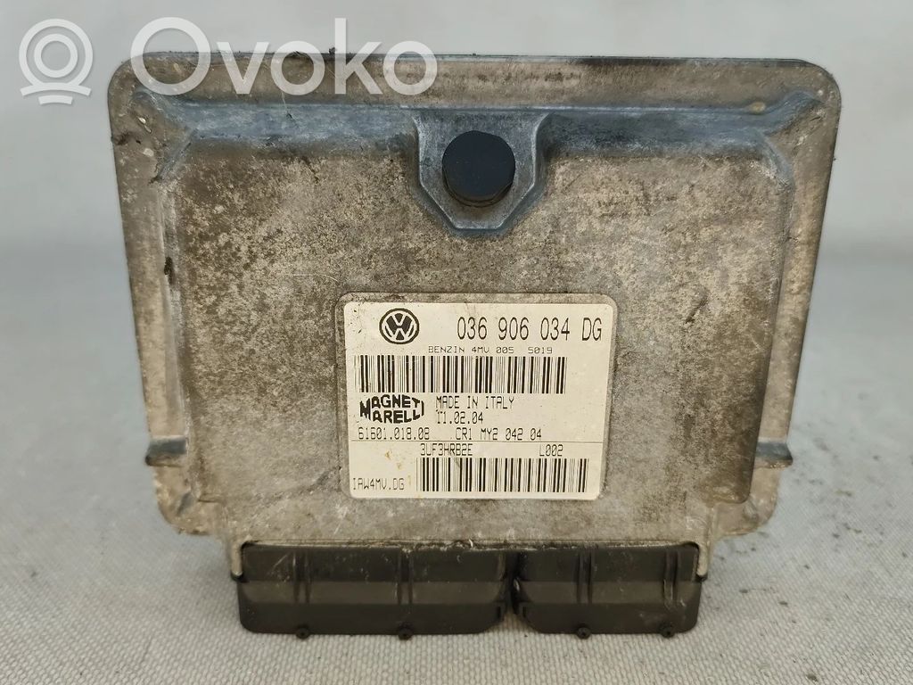 Seat Ibiza III (6L) Engine control unit/module 