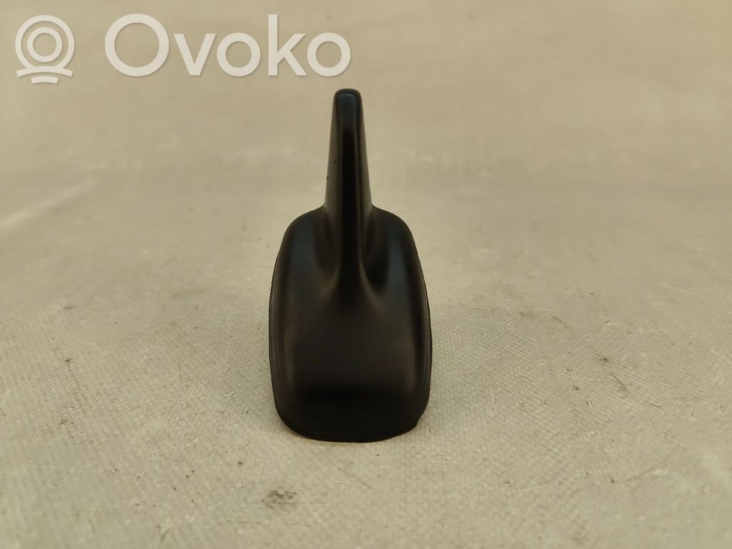 Radion antenni   65225102,1PINO