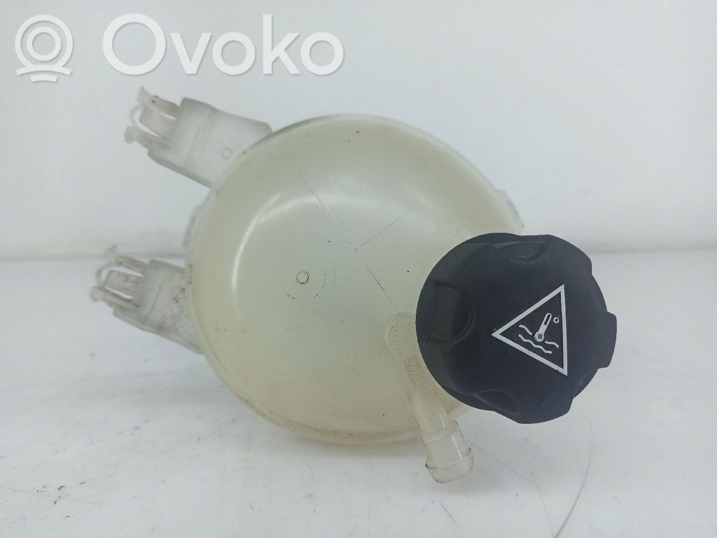 Citroen C3 Vas expansiune/rezervor lichid de răcire 