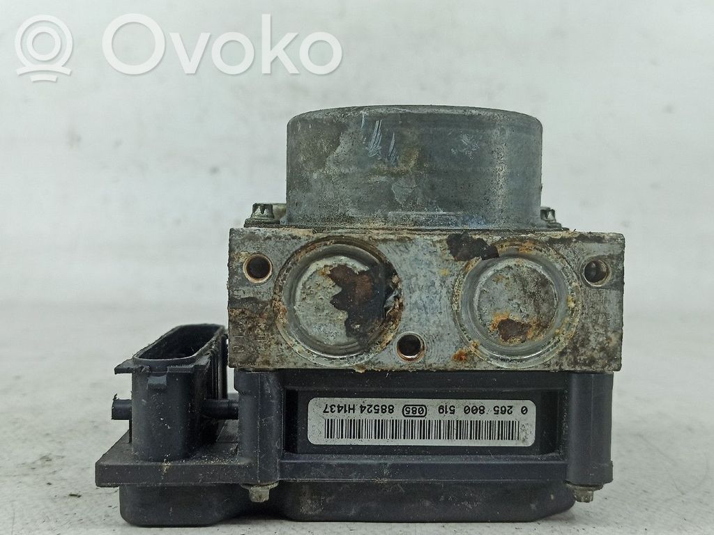 ABS Pump   0265800519,0265232067,8200737985