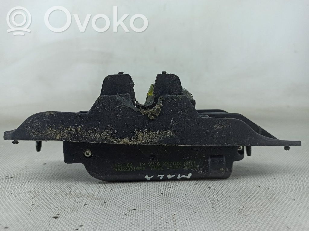 Tailgate exterior lock   9649101780,9652301980