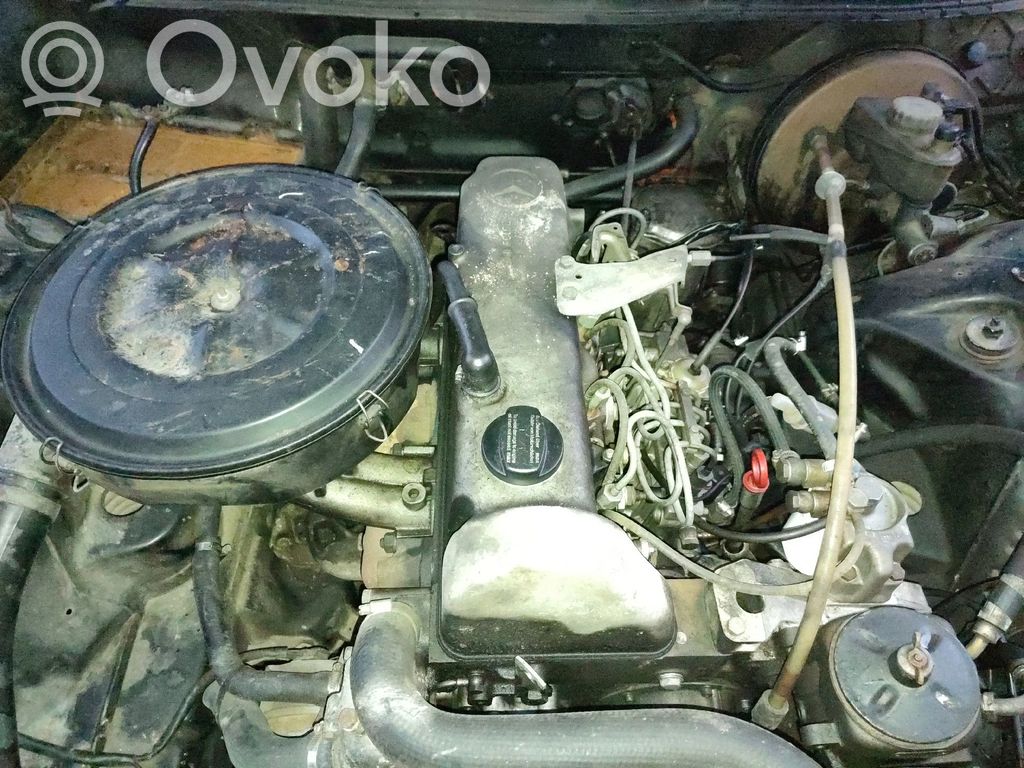 Mercedes-Benz W123 Motor 
