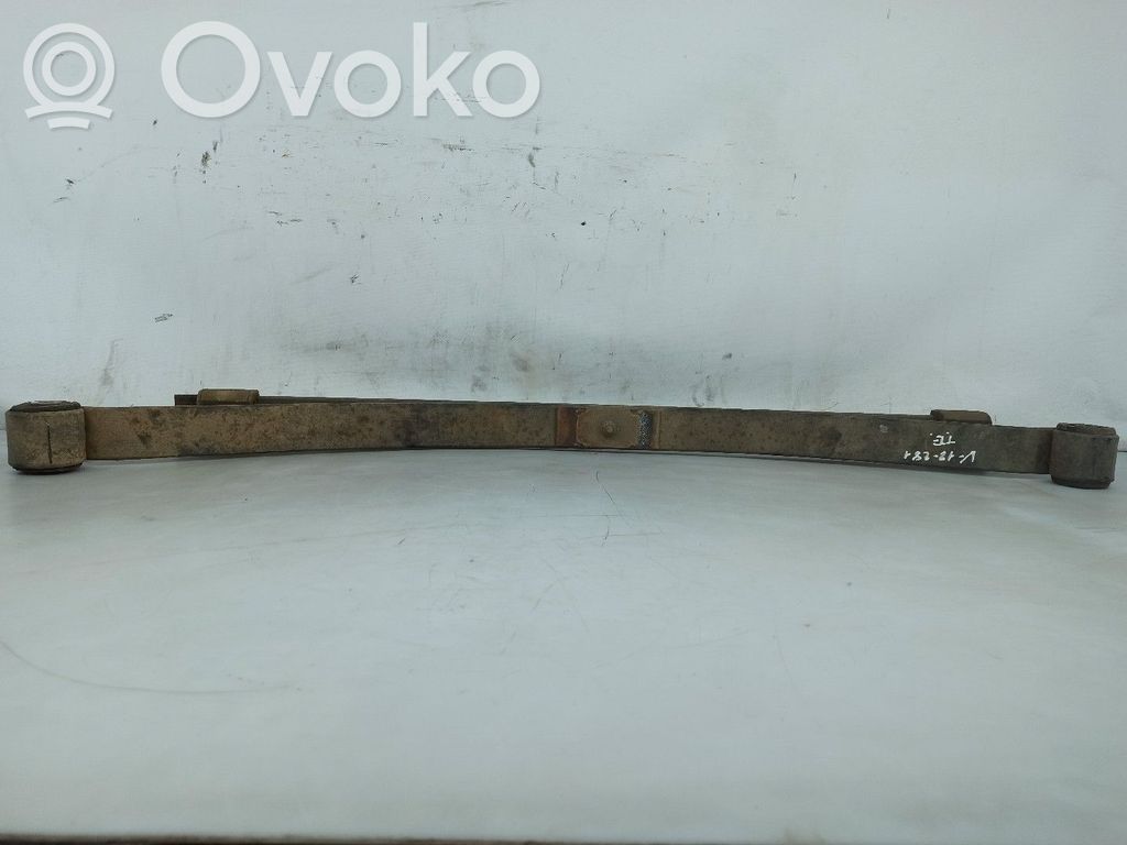 Rear coil spring   FEIXE