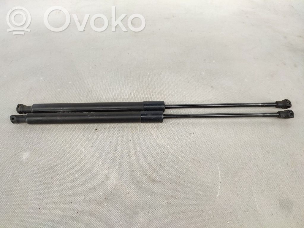 Citroen C3 Ammortizzatore portellone posteriore/bagagliaio