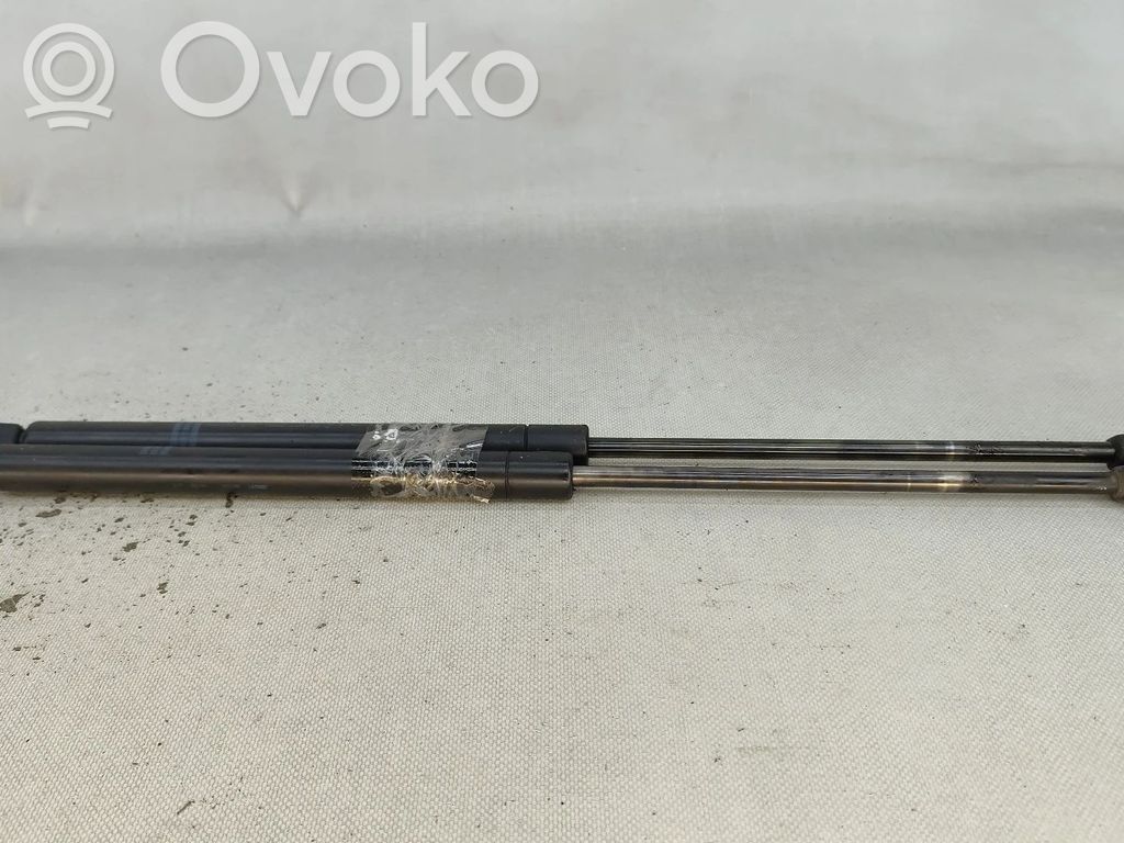 Ford Transit Tailgate/trunk strut/damper 