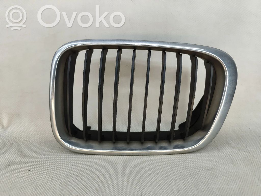 BMW 3 E46 Etusäleikkö 
