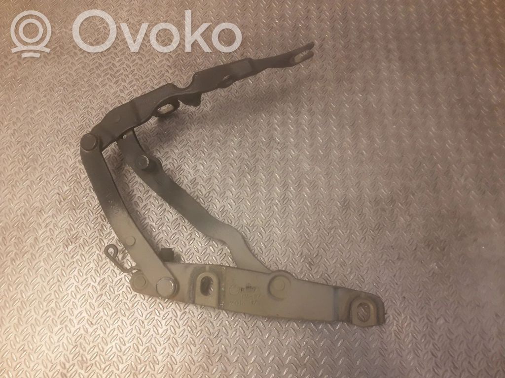 Tailgate/trunk/boot hinge   7016179