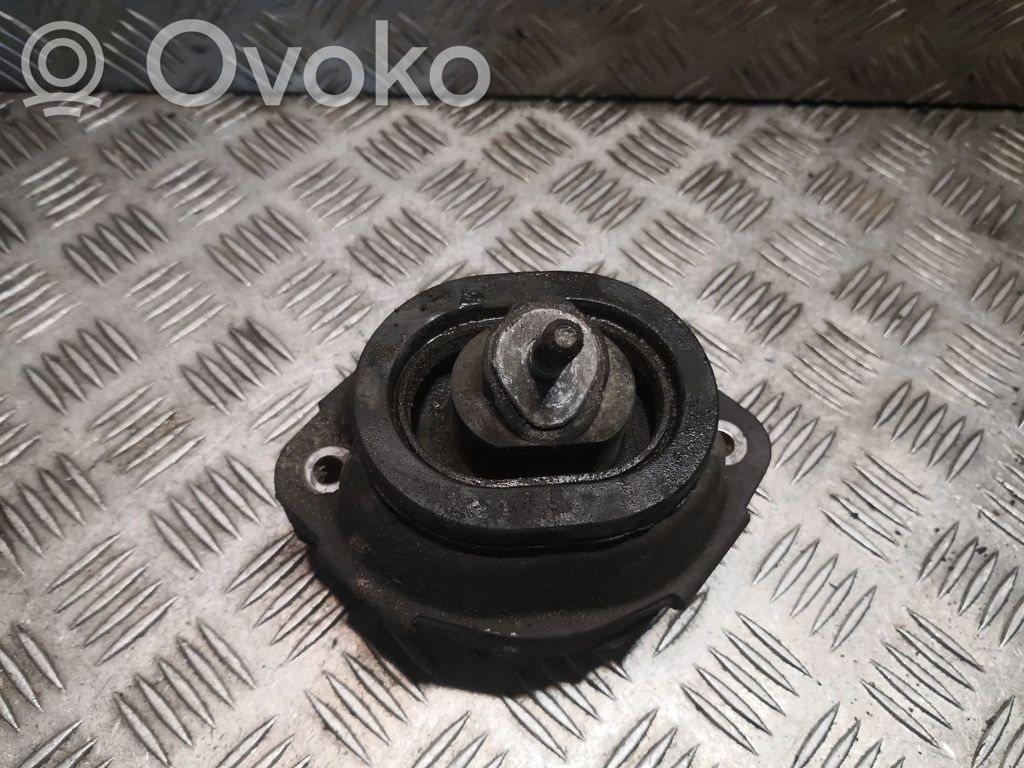 BMW X5 E53 Dzinēja spilvens 