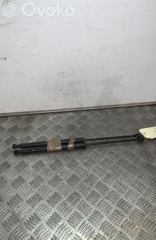 Citroen C3 Amortizor hayon 