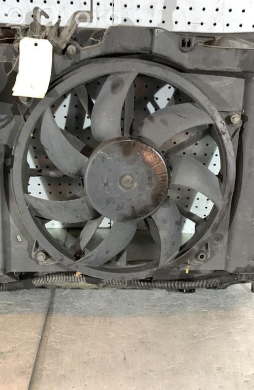 Elektrolüfter   9828719880