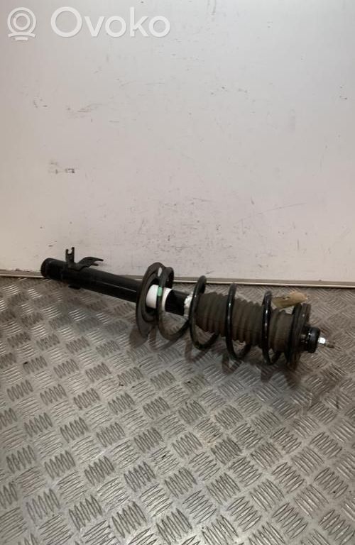 Stoßdämpfer Federbein   B000771480