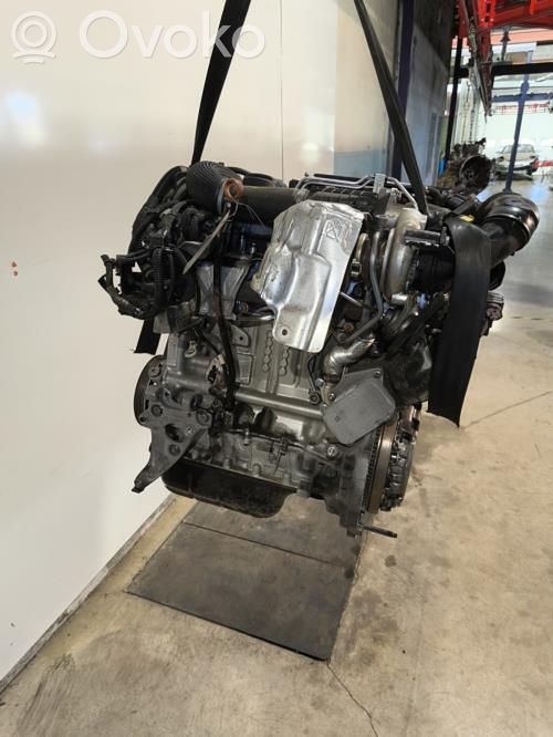 Engine   00000135RP