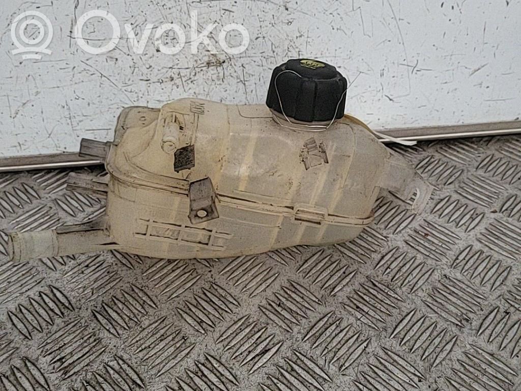Renault Megane III Korek zbiornika wyrównawczego chłodziwa