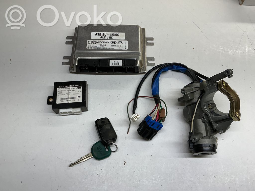 Engine control unit/module   5WY5712A,391102X547