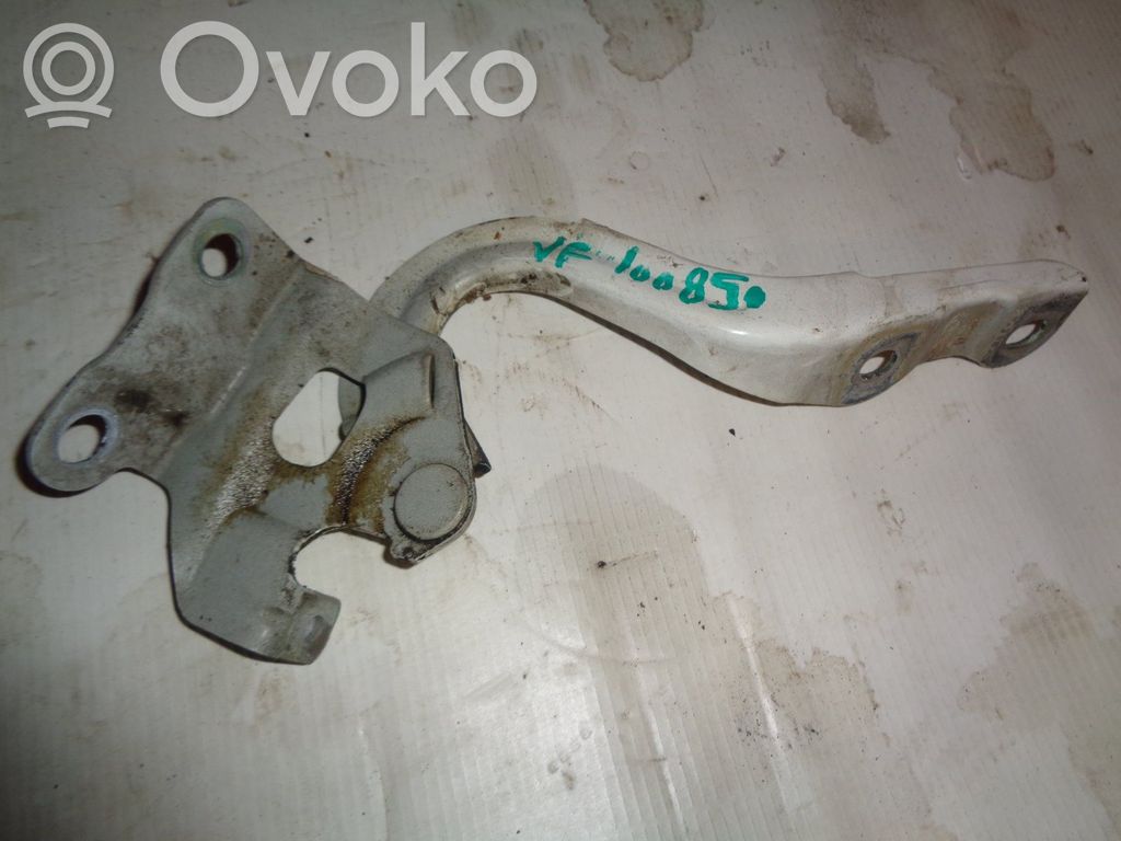 Engine bonnet/hood hinges