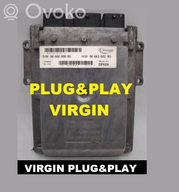 Engine control unit/module ECU   9666089880,9666360280