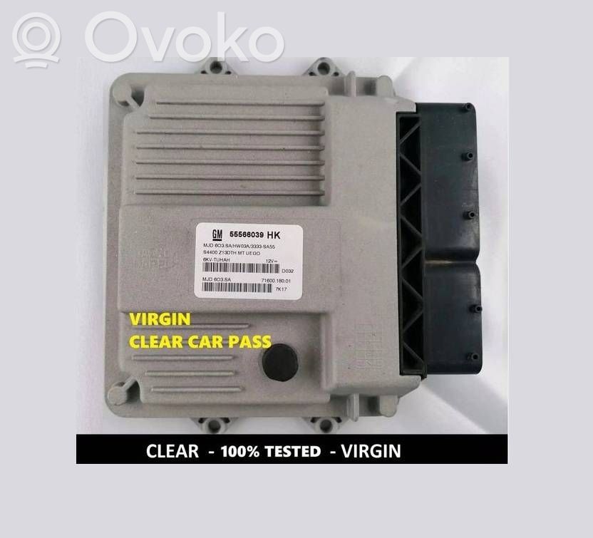 Opel Corsa D Fuel injection control unit/module 