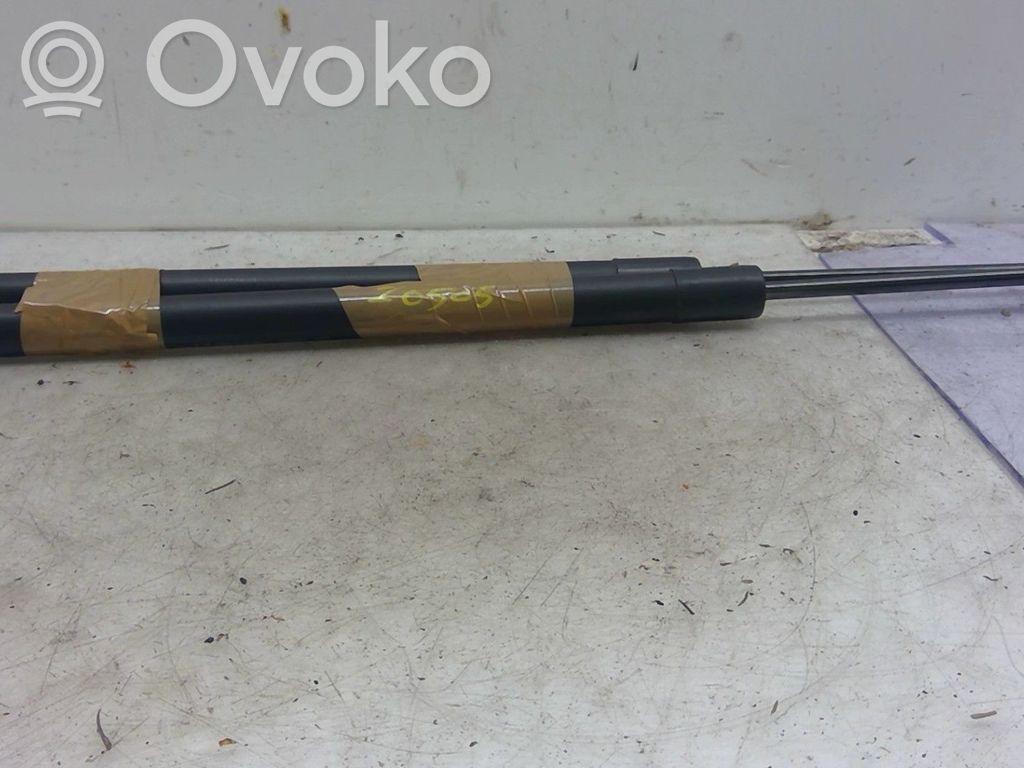 Tailgate/trunk strut/damper   8200219322