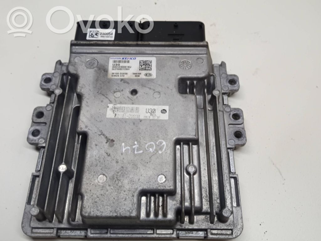KIA Sportage Engine control unit/module 