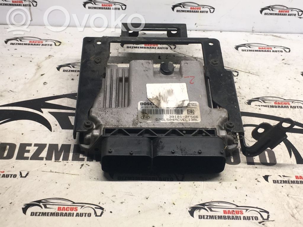 Engine control unit/module ECU   391012F566