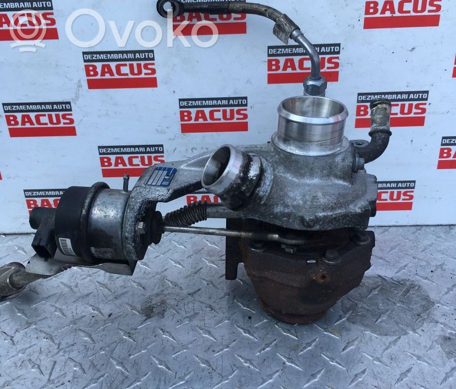 Turbo   55493250