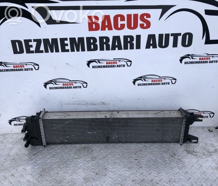 Ford Mondeo MK V Aušinimo skysčio radiatorius 