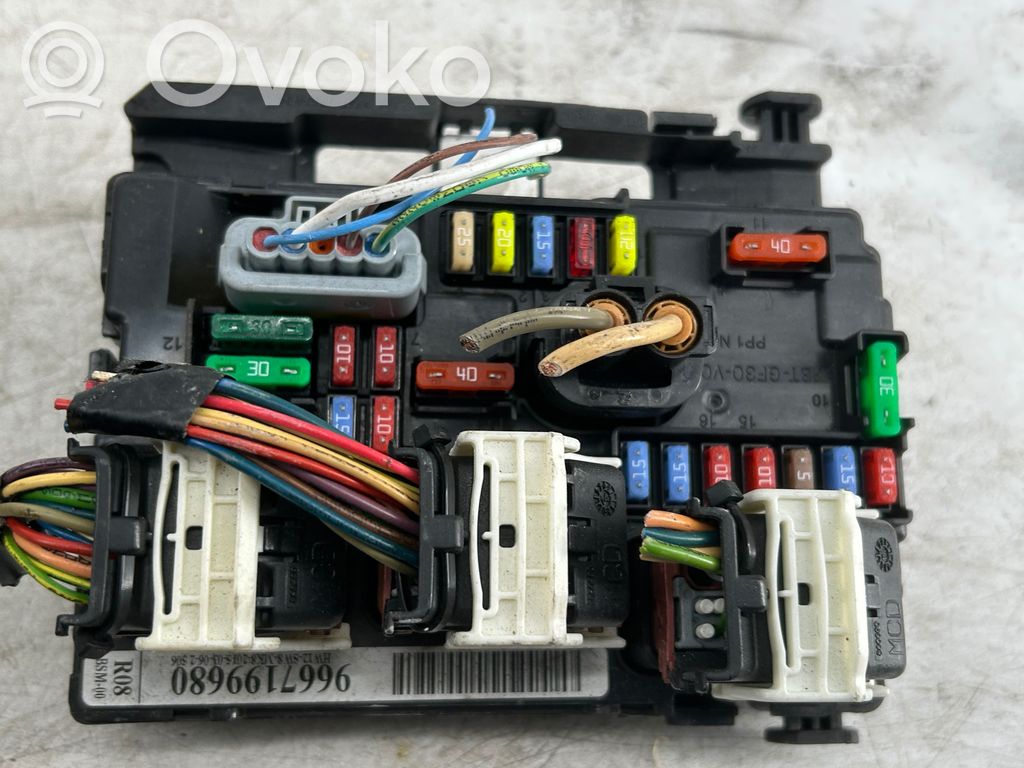 Fuse module   9667199680