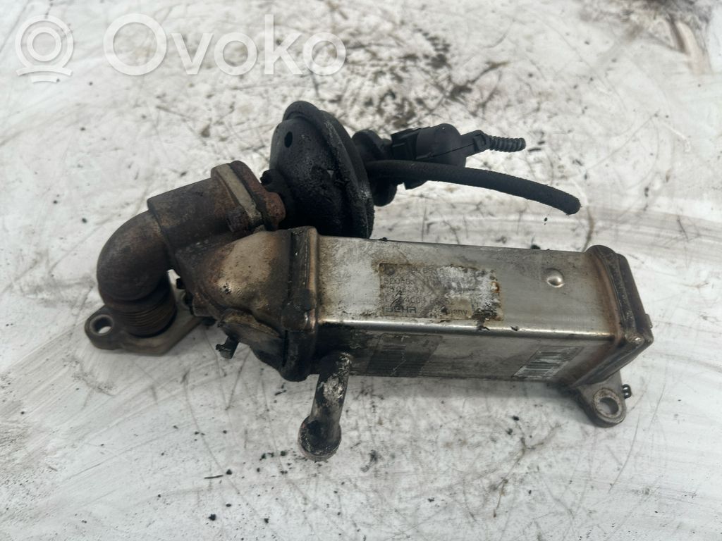 BMW 3 E90 E91 EGR aušintuvas 