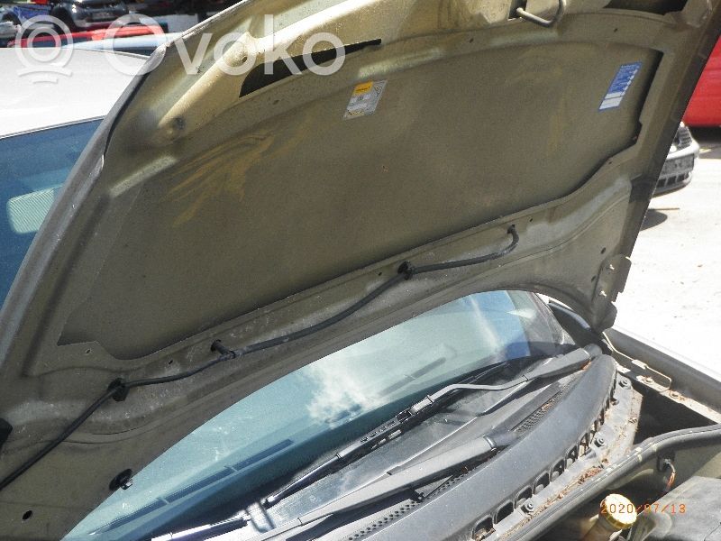 Engine bonnet/hood   7901K6