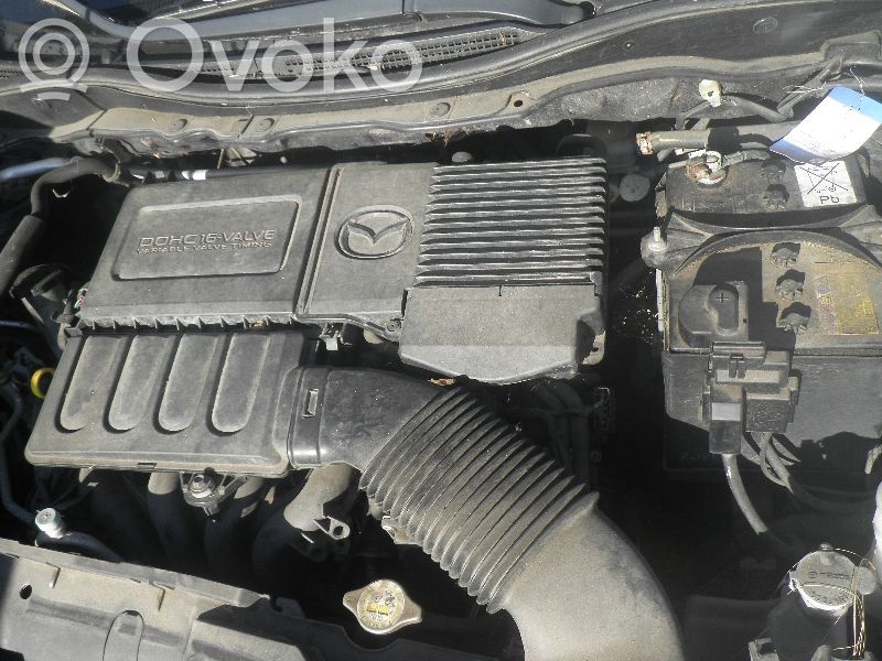 Variklis   ZJ46