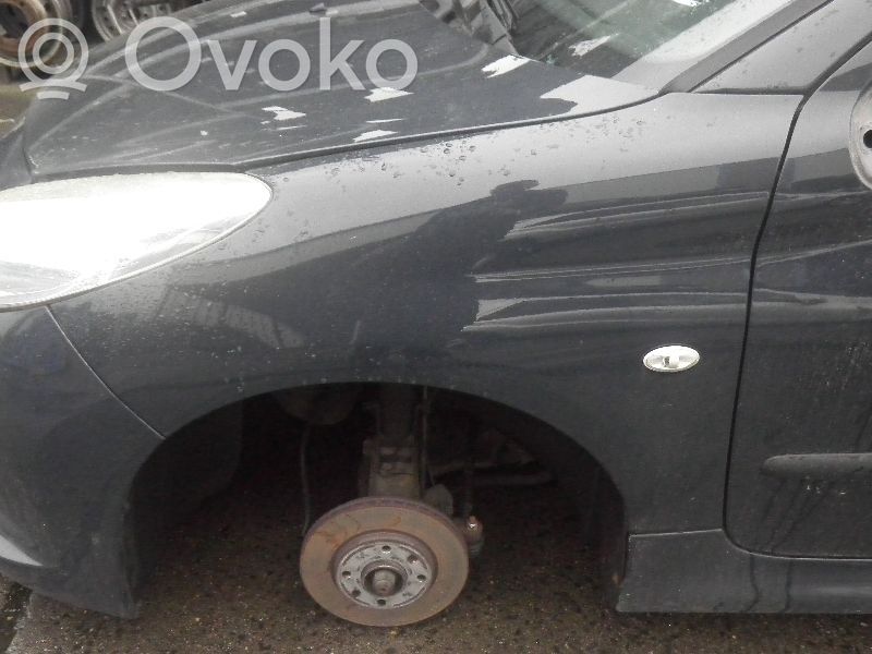 Peugeot 206+ Guardabarro 
