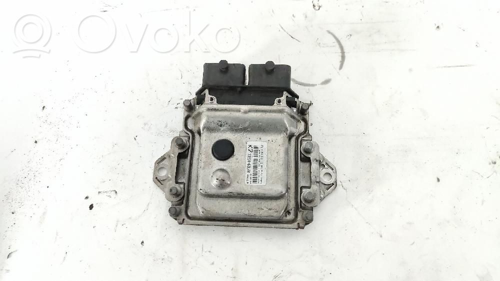 Engine control unit/module   3391069L00