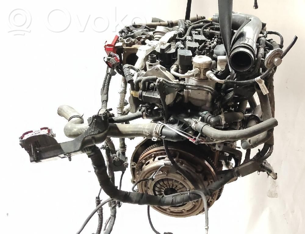 Ford Ecosport Silnik 