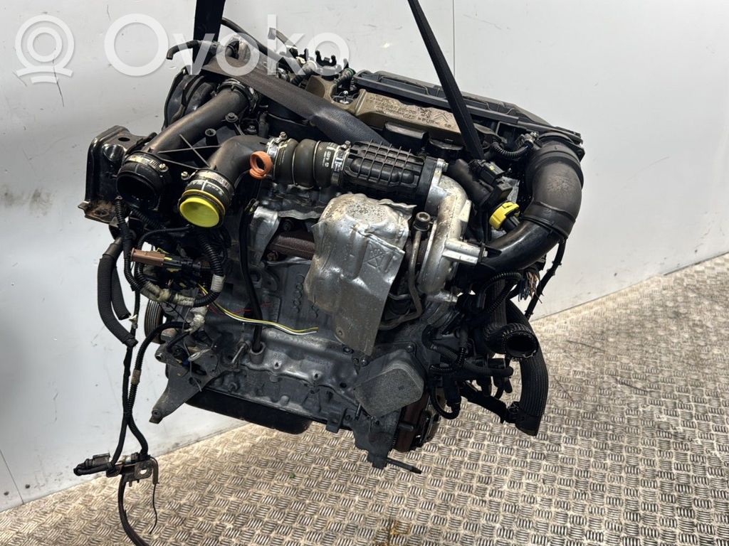 Engine   00000135RG