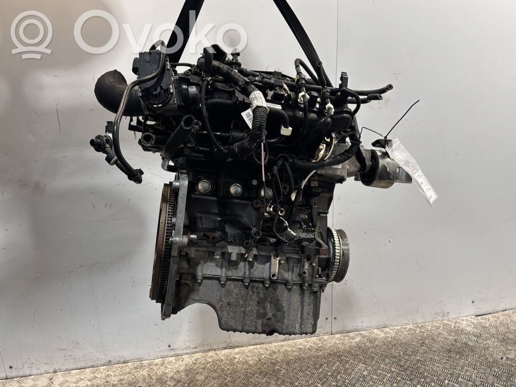 Motor   71776213