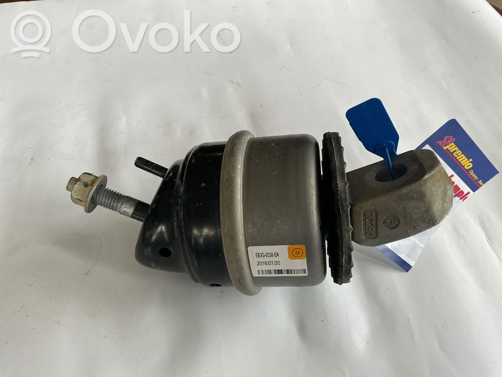 Ford Ranger Dzinēja spilvens 