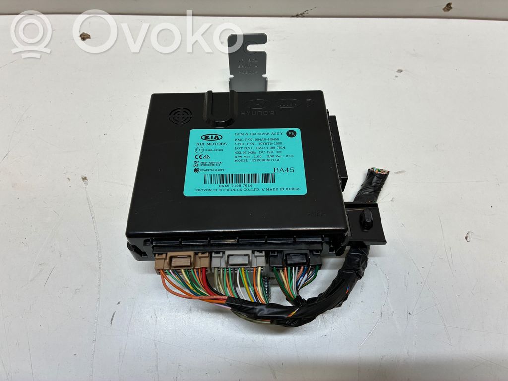 Other control units/modules   954A0H8450