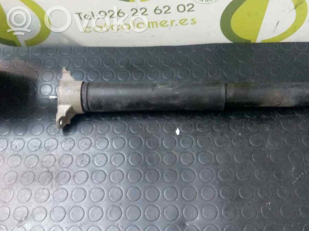 Stoßdämpfer hinten   1751388