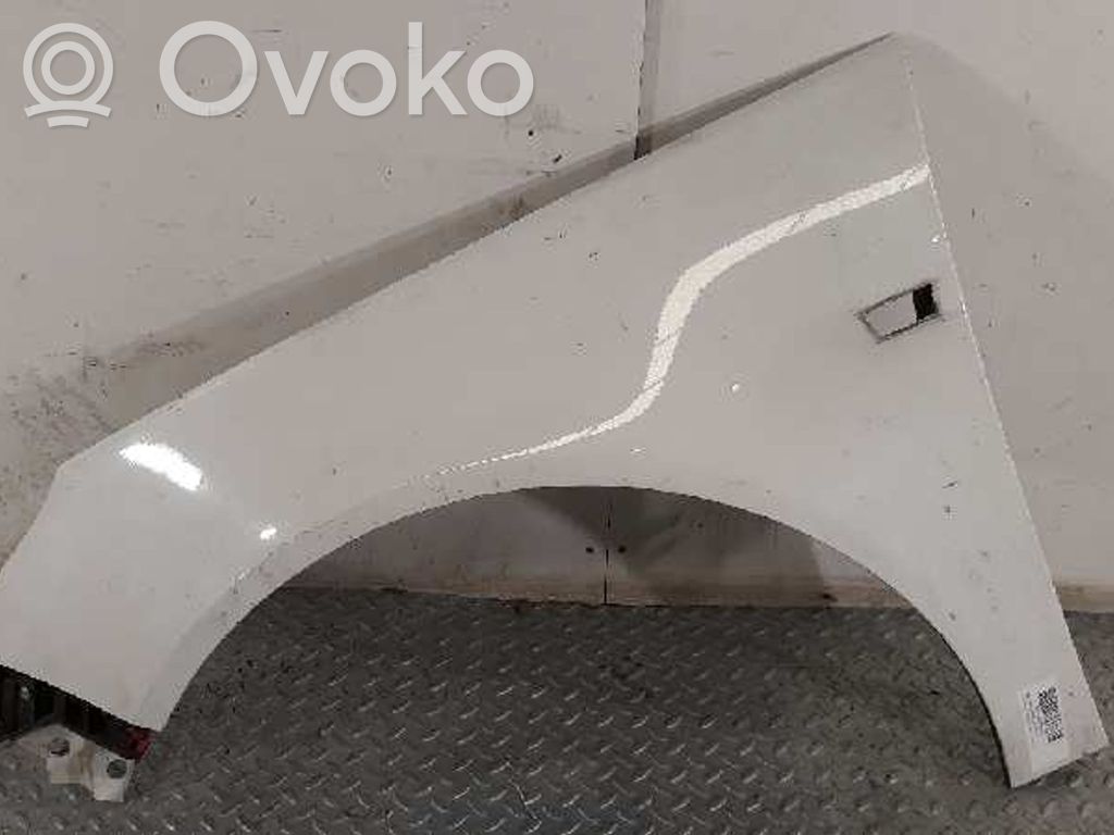 Guardabarro   13277520