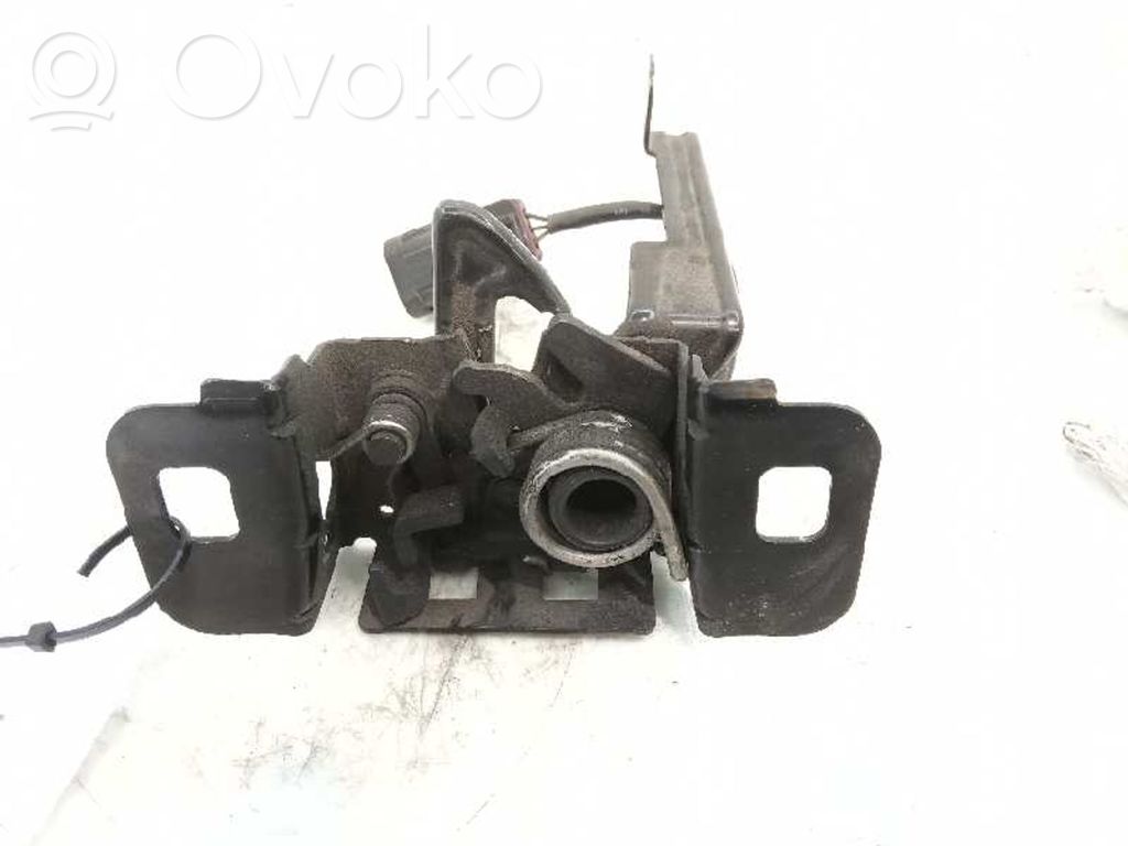 Tie down hook / loop   94537888