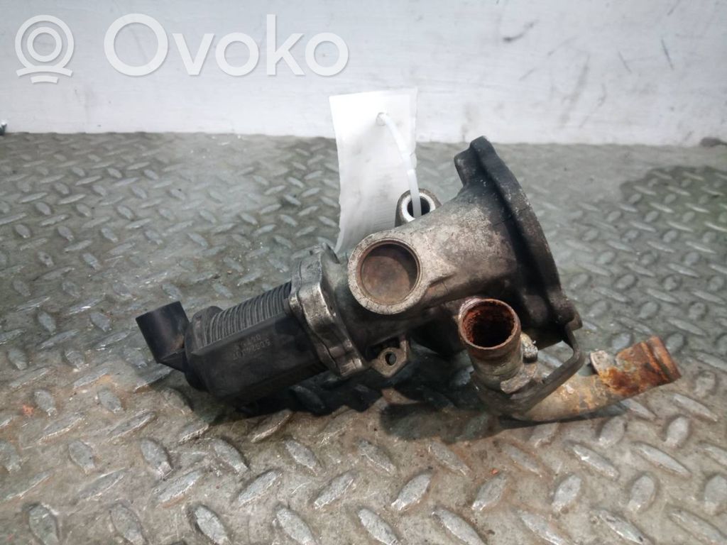 Válvula EGR   50024007