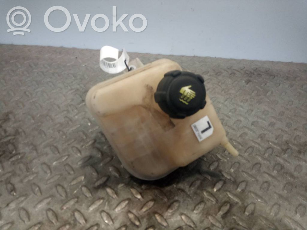 Nissan Qashqai+2 Vas expansiune combustibil 