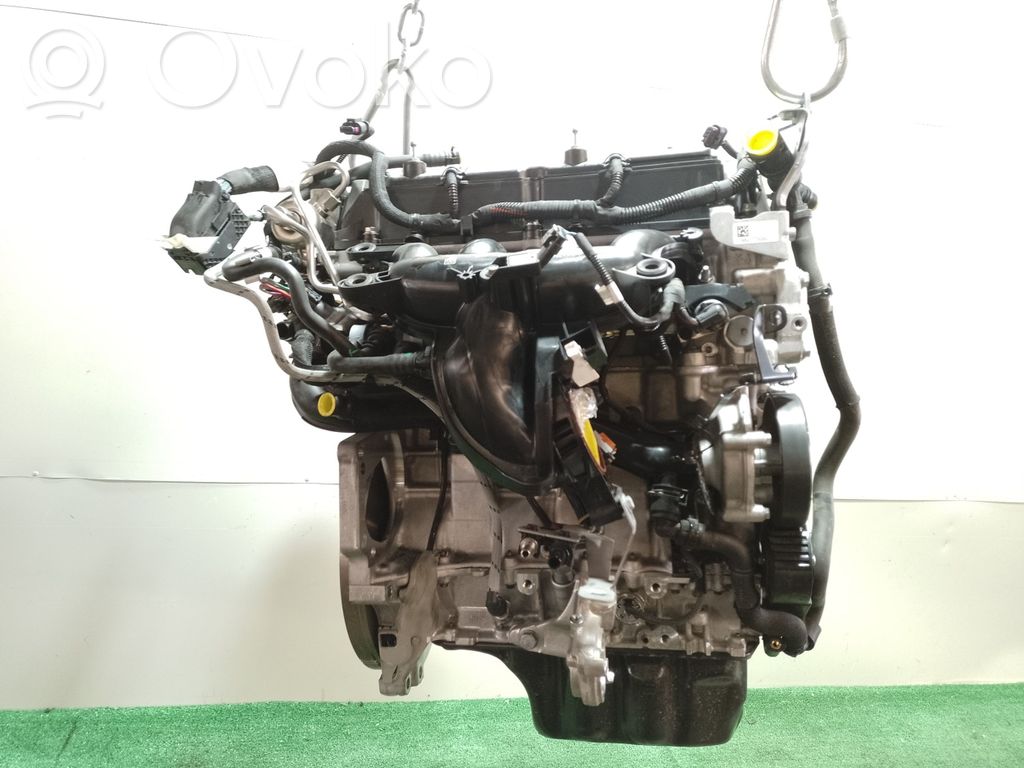 Motor   DGX,DGX,DGX